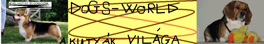 Dogs-World-a kutyák világa!